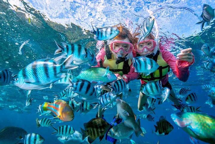 Easily set sail by boat! / Blue cave snorkel — photo 11