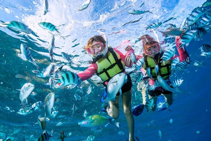Easily set sail by boat! / Blue cave snorkel — photo 12