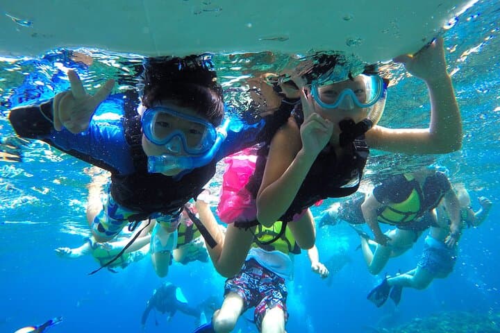 Easily set sail by boat! / Blue cave snorkel — photo 15