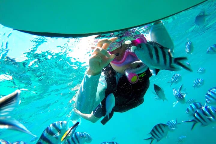 OK from 2 years old! / Sea picnic & snorkel — photo 4