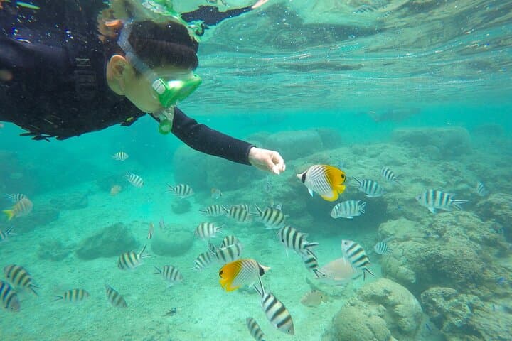 OK from 2 years old! / Sea picnic & snorkel — photo 6