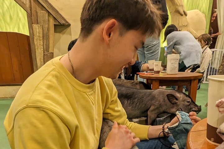 Private Day Tour In Tokyo with a Native English Speaker — photo 15