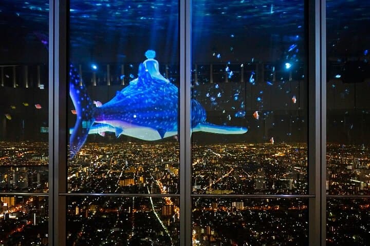 Harukas 300 Observatory Tickets | Osaka — photo 9