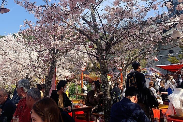 Kyoto Private Guided Beauty Tour — photo 4