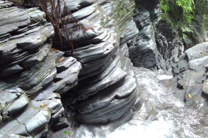 Okinawa Jungle Trails & Waterfalls – Private Yanbaru Tour — photo 9