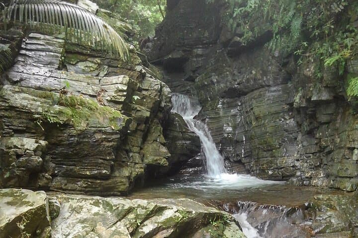Okinawa Jungle Trails & Waterfalls – Private Yanbaru Tour — photo 10