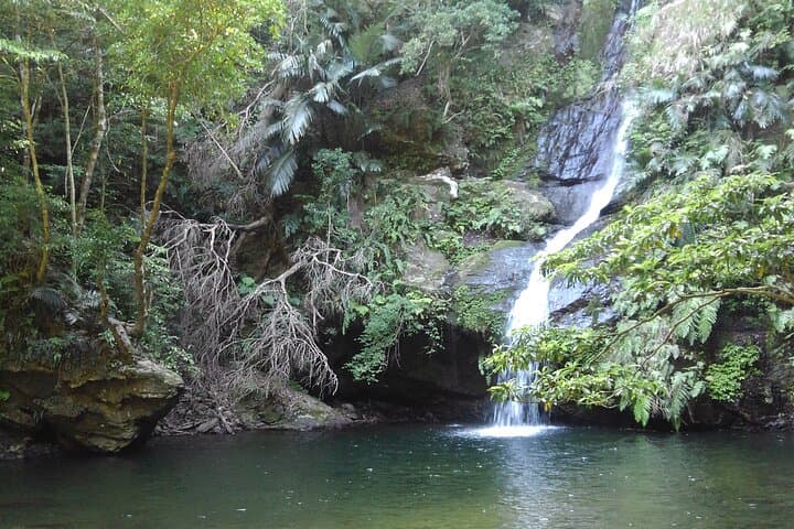Okinawa Jungle Trails & Waterfalls – Private Yanbaru Tour — photo 13