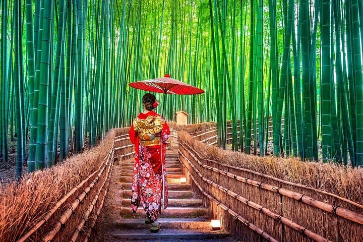 One-Day Tour of Kyoto's Highlights from Osaka/Kyoto — photo 13