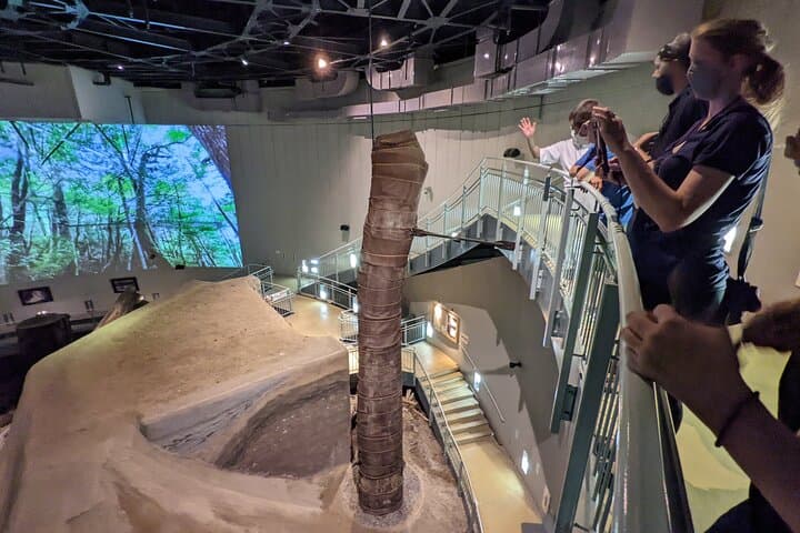 Sanbe Azukihara Principle Buried Forest Park Jomon no Mori — photo 4