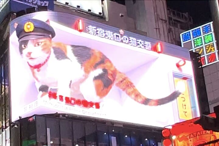 Shinjuku Golden-gai and Kabuki-cho Bar Hopping with Master Guide — photo 2