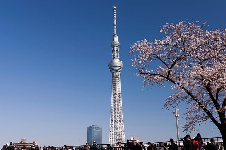 Tokyo Asakusa Half Day Walking Tour with Local Guide — photo 5