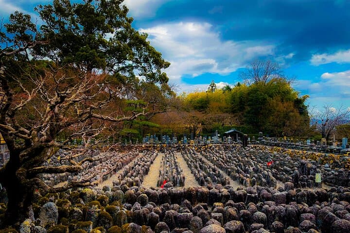 Kyoto Highlights & Hidden Gems in Nature (Private Van Eng-Guide) — photo 20