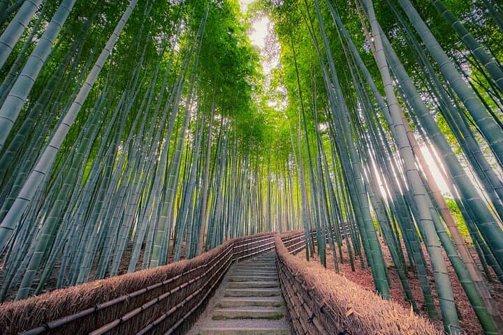 Kyoto Highlights & Hidden Gems in Nature (Private Van Eng-Guide) — photo 8