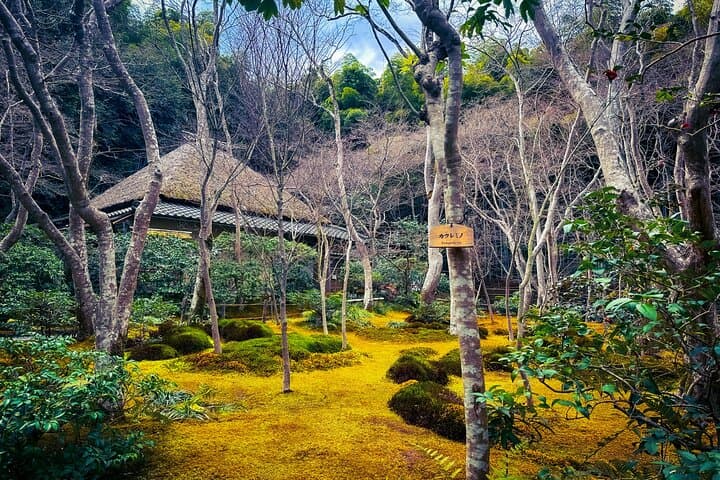 Kyoto Highlights & Hidden Gems in Nature (Private Van Eng-Guide) — photo 15