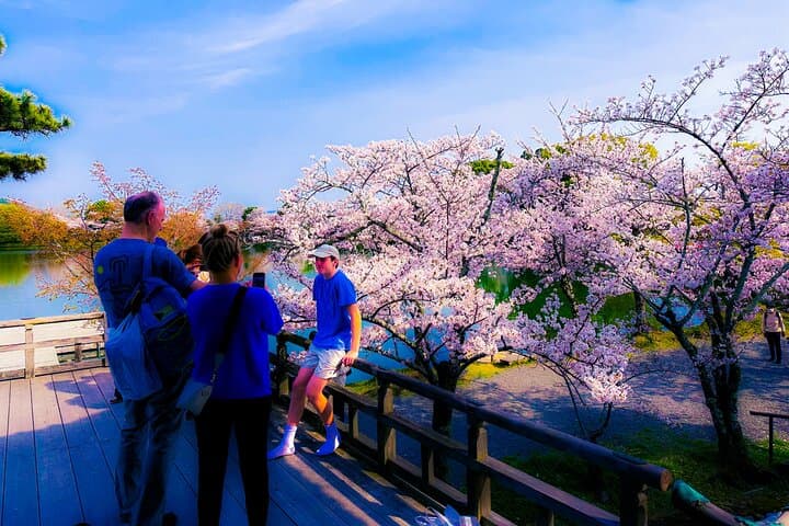Kyoto Highlights & Hidden Gems in Nature (Private Van Eng-Guide) — photo 9