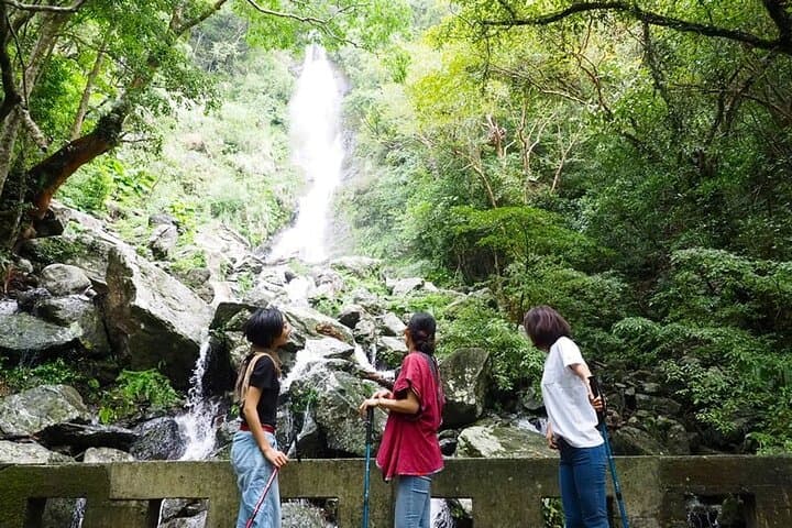 3-Day and 2-Night Amami Folksong Private Tour in Japan — photo 2