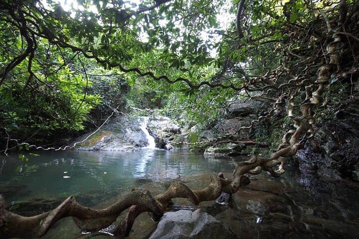 3-Day and 2-Night Amami Folksong Private Tour in Japan — photo 3