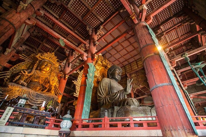 Nara Walking Day Tour with Spanish Speaking Guide — photo 3