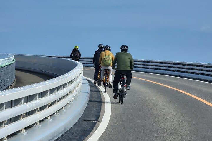 Private Amakusa National Park E-bike Ride Tour with Guide — photo 2
