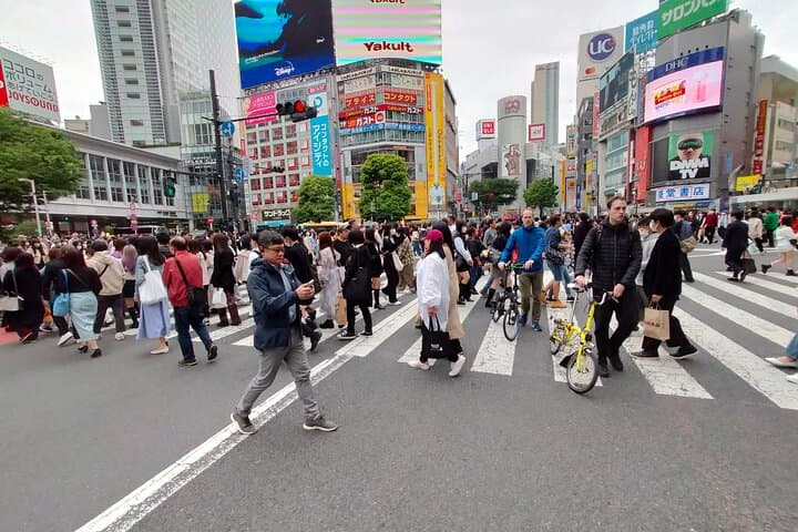 Private Half-Day Grand Bike Tour in Tokyo — photo 9