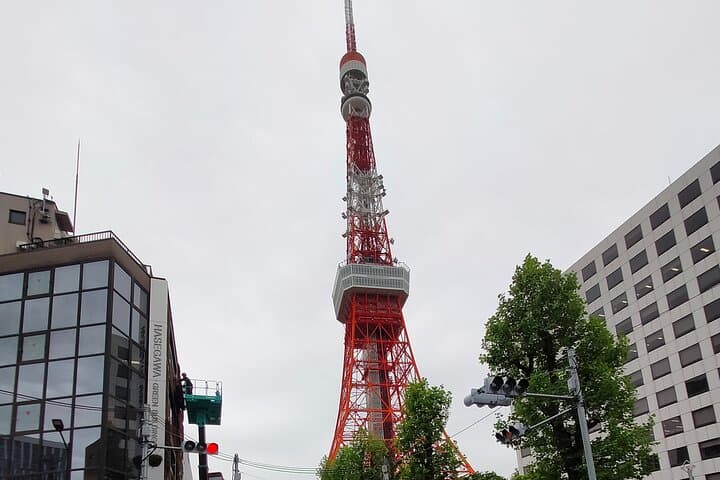 Private Half-Day Grand Bike Tour in Tokyo — photo 18