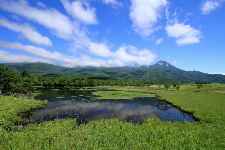3hours Nature Guided Tour in Shiretoko Five Lakes — photo 2