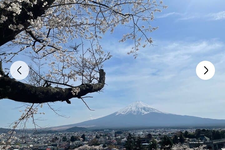 Mt. Fuji, Hakone Full-Day Private Tour with English Driver Guide — photo 9