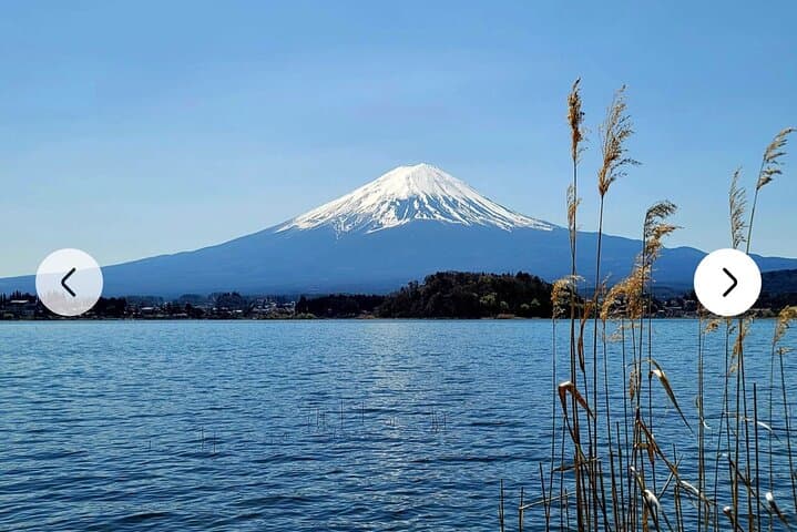 Mt. Fuji, Hakone Full-Day Private Tour with English Driver Guide — photo 5