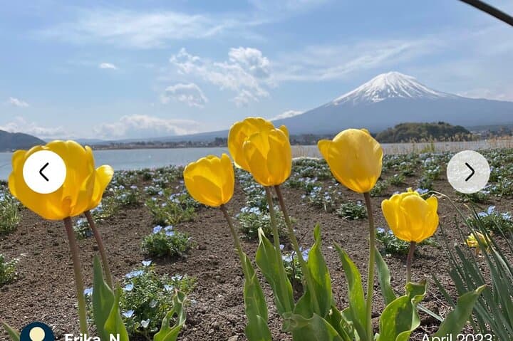 Mt. Fuji, Hakone Full-Day Private Tour with English Driver Guide — photo 8