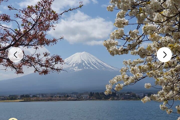 Mt. Fuji, Hakone Full-Day Private Tour with English Driver Guide — photo 15