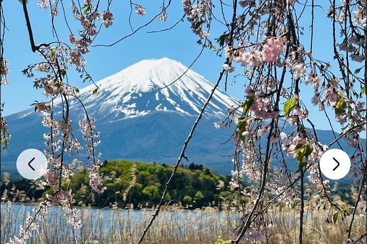 Mt. Fuji, Hakone Full-Day Private Tour with English Driver Guide — photo 11