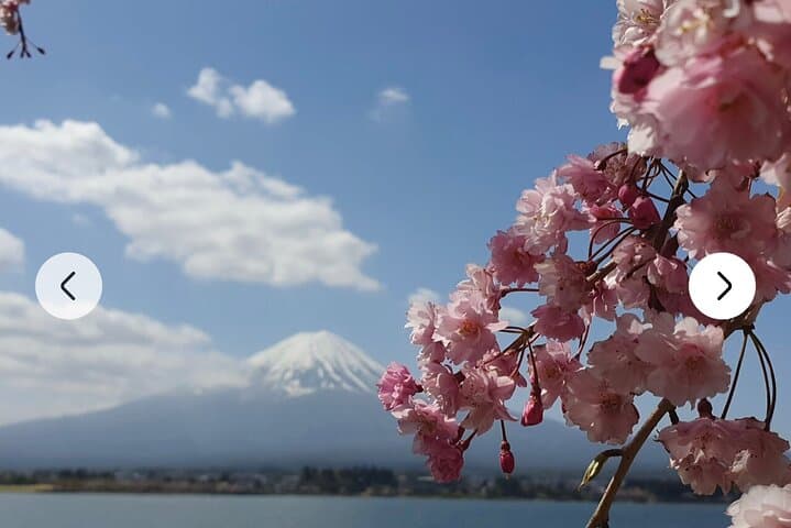 Mt. Fuji, Hakone Full-Day Private Tour with English Driver Guide — photo 4