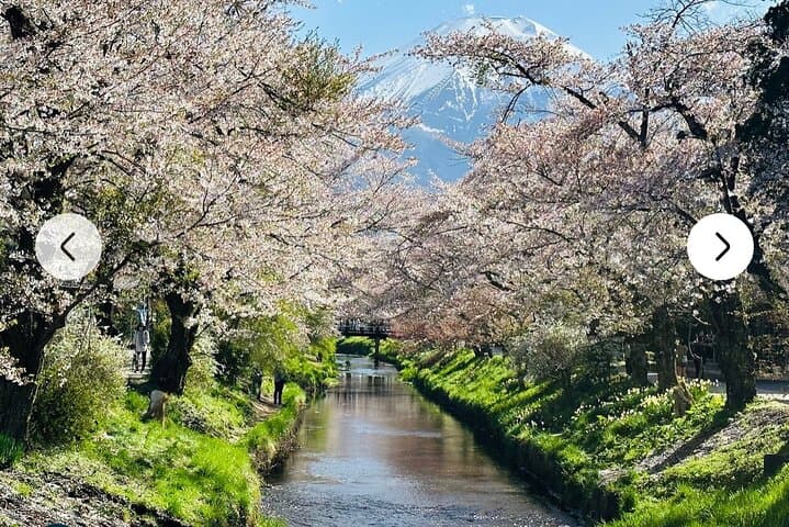 Mt. Fuji, Hakone Full-Day Private Tour with English Driver Guide — photo 3