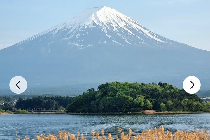 Mt. Fuji, Hakone Full-Day Private Tour with English Driver Guide — photo 16