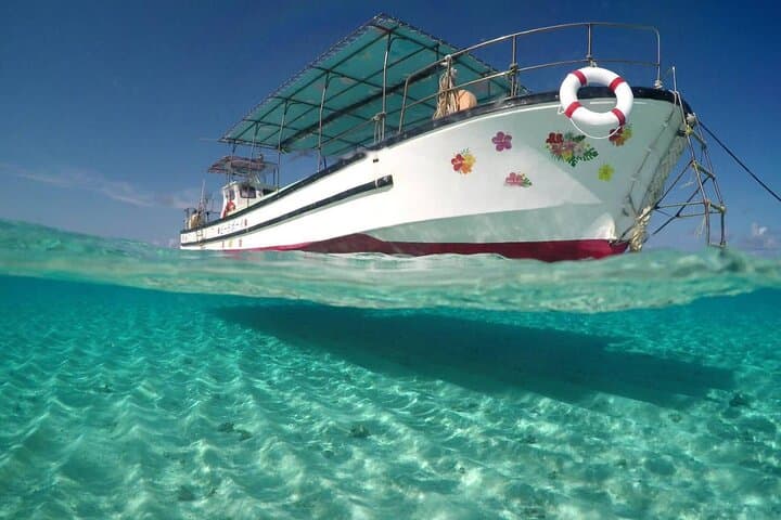 Private 3 Day Tour in Yoron Island — photo 3