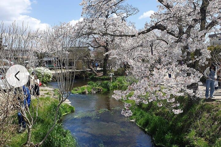 Mt. Fuji, Hakone Full-Day Private Tour with English Driver Guide — photo 14