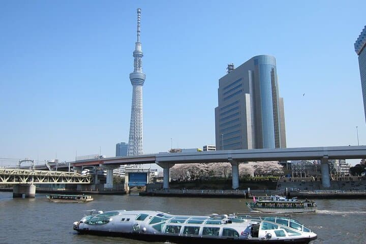 Private Transfer for Custom Day Tour in Tokyo — photo 6