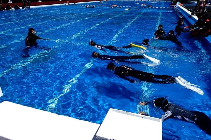 Enjoy Diving In Izu Discover Scuba Diving for Nondiver — photo 7