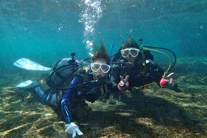 Enjoy Diving In Izu Discover Scuba Diving for Nondiver — photo 14