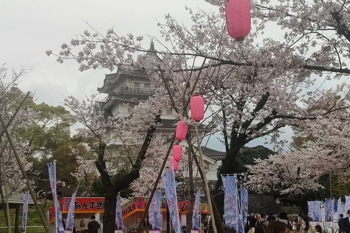 Japanese Cooking Class and Cultural Experience Around Tokyo — photo 14