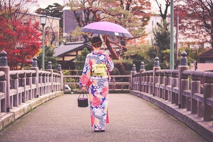Private Taxi Tour in Tokyo with Government Licensed Guide — photo 9