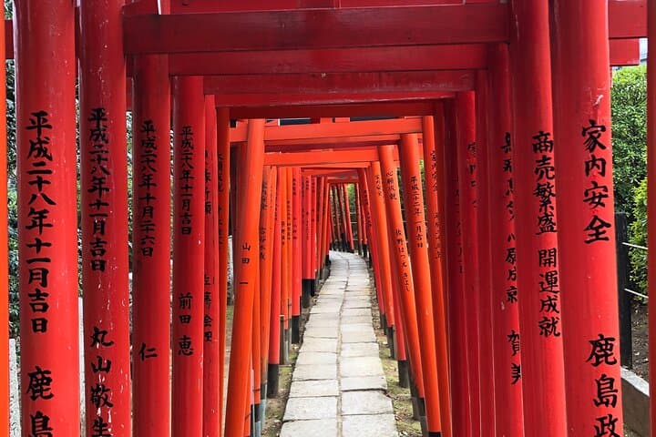 Private Taxi Tour in Tokyo with Government Licensed Guide — photo 8