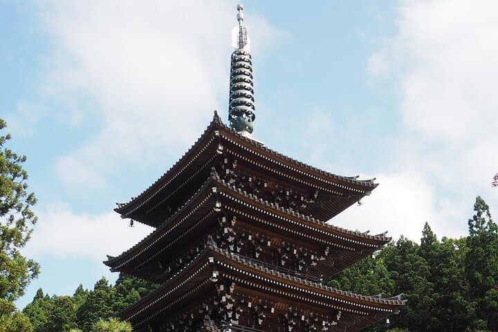 Private Tour to Big Buddha and Nebuta Museum with Licensed Guide — photo 17