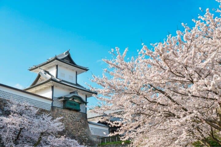 Private Half-Day Kanazawa Walking Tour and Historical Photo Spot — photo 6