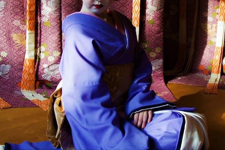 Private Ozashiki Geisha Plan-Dinner — photo 10