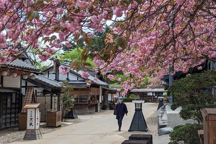 Nikko History & Nature Discovery | Private Licensed Guide &Driver — photo 2