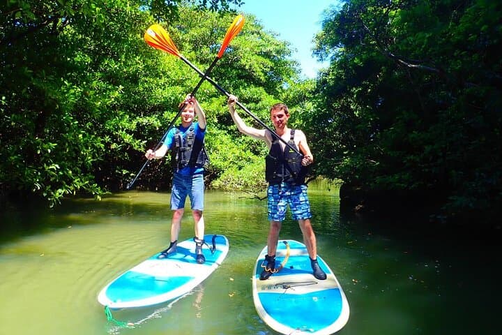 Ishigaki Mangrove SUP or Canoeing and Phantom Island Snorkeling — photo 15