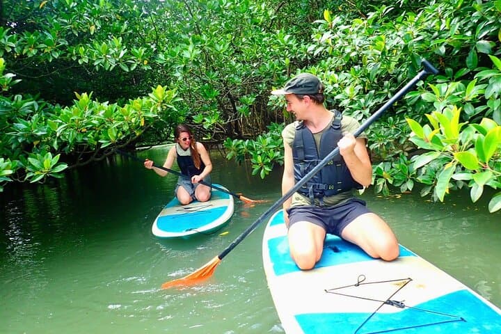 Ishigaki Mangrove SUP or Canoeing and Phantom Island Snorkeling — photo 5