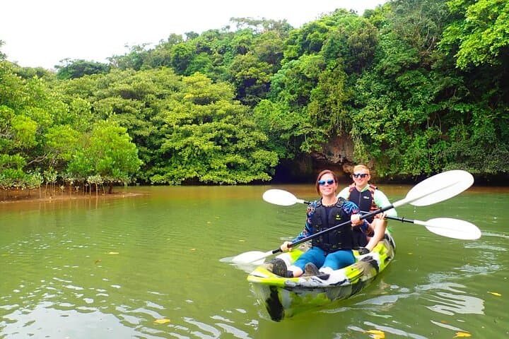 Ishigaki Mangrove SUP or Canoeing and Phantom Island Snorkeling — photo 16