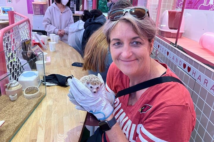 Harajuku Private Tour: Kawaii Fashion & Animal Cafe Included — photo 15